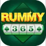 Rummy365 APK icon